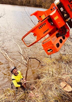 The Tree Company project 6