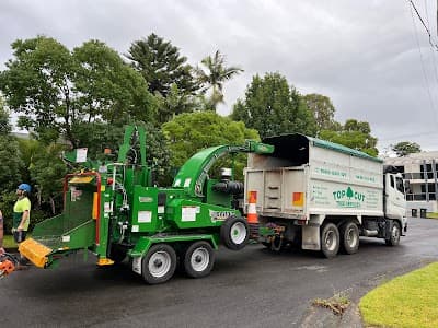 Top Cut Tree Services cover