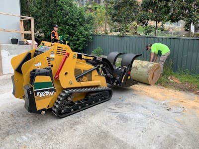 Top Cut Tree Services project 3
