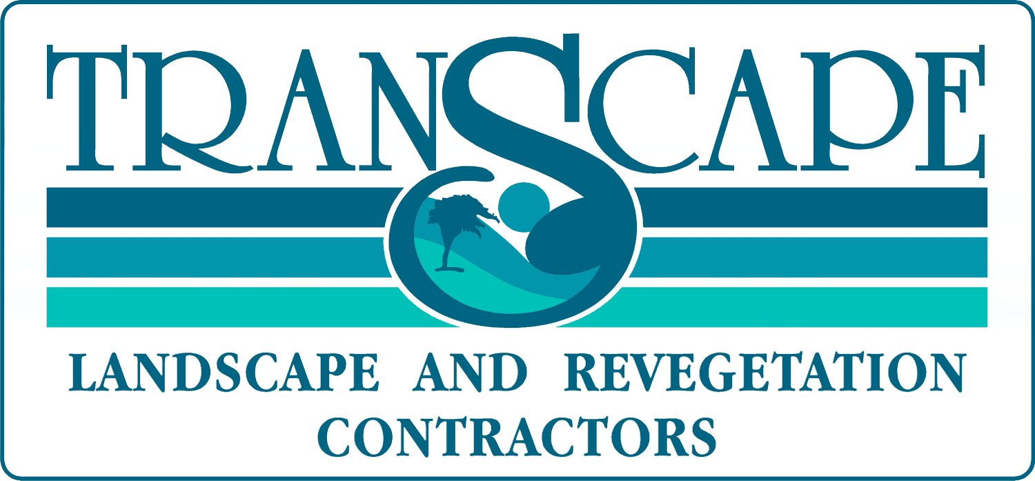 Transcape Constructions