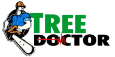 Tree Doctor Tasmania
