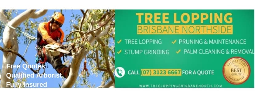 Tree Lopping Brisbane North