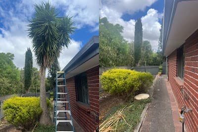 Tree Removal Adelaide cover