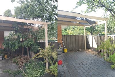 Tree Removal Adelaide project 3