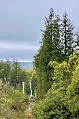 Tree Tech Management cover