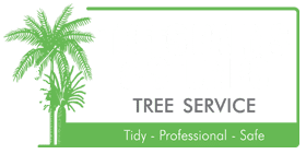 Trees Palms and Stumps