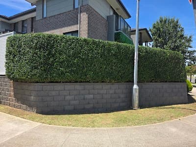 Valenti and Son's Lawn Mowing cover