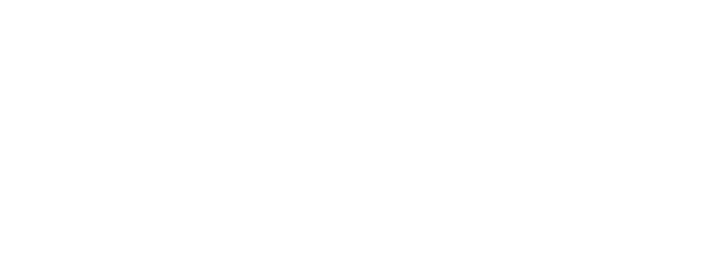 Van Diemen's Land Irrigation Pty Ltd