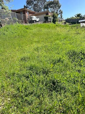 VIC LAWN CARE project 6