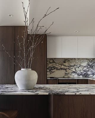 VICELLO project 4