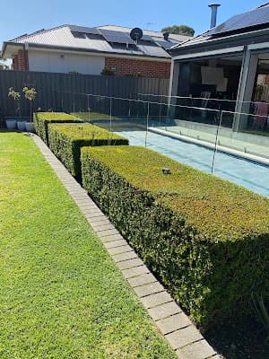 Vision Landscaping and Gardening project 5