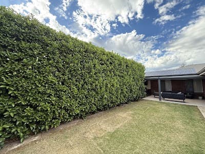 Westside Yard Care cover