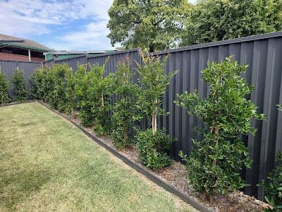 Wild-Crocs gardening services cover
