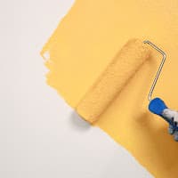 WOW Pro Painting
