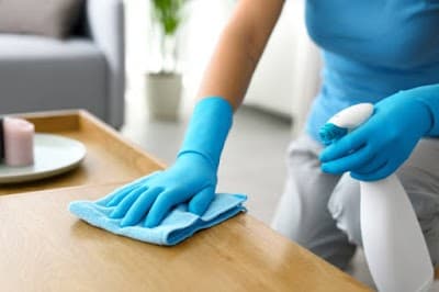 Lower North Shore Cleaning Services
