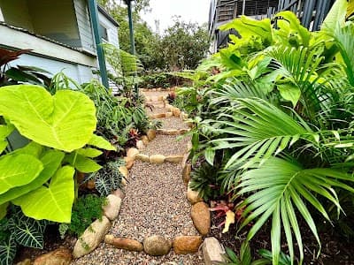 LushScapes Landscaping 1770