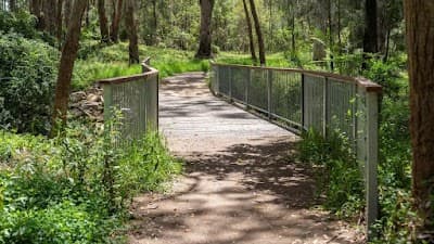 Metal Fencing Specialists