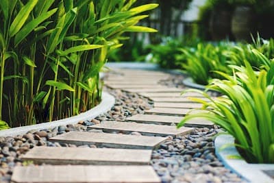 Nature's Greenscapes
