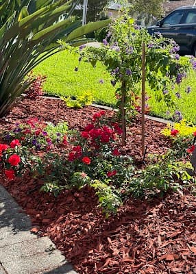 Paradise Garden cover