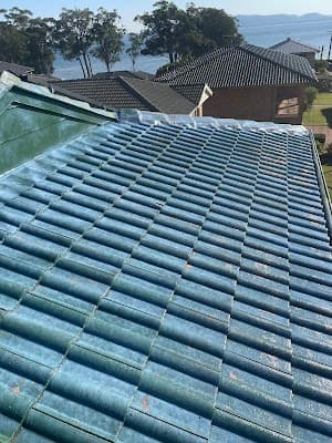 Roof painting Devonport