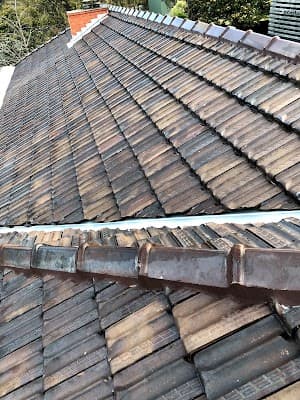 Ross the Roofer