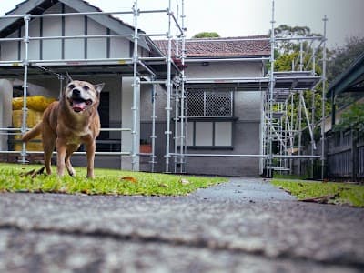 Sky Dog Roofing