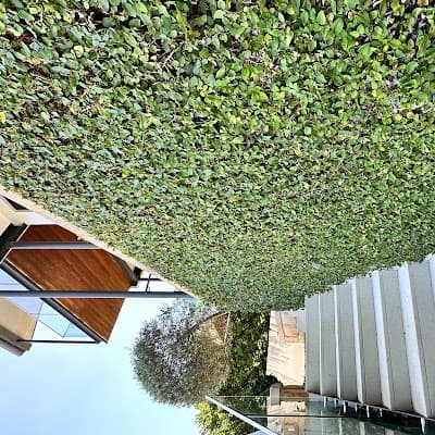 Sutherland Shire Lawn & Garden