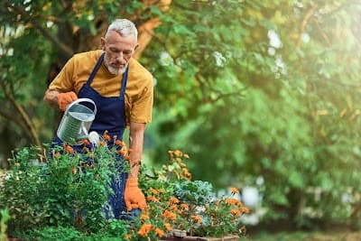 Sydney Gardening Group