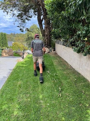 Verde Lawns & Gardens