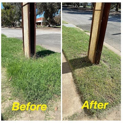 Vision Landscaping and Gardening