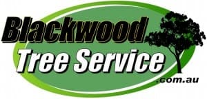 Blackwood Tree Service