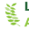 Landscaping Adelaide